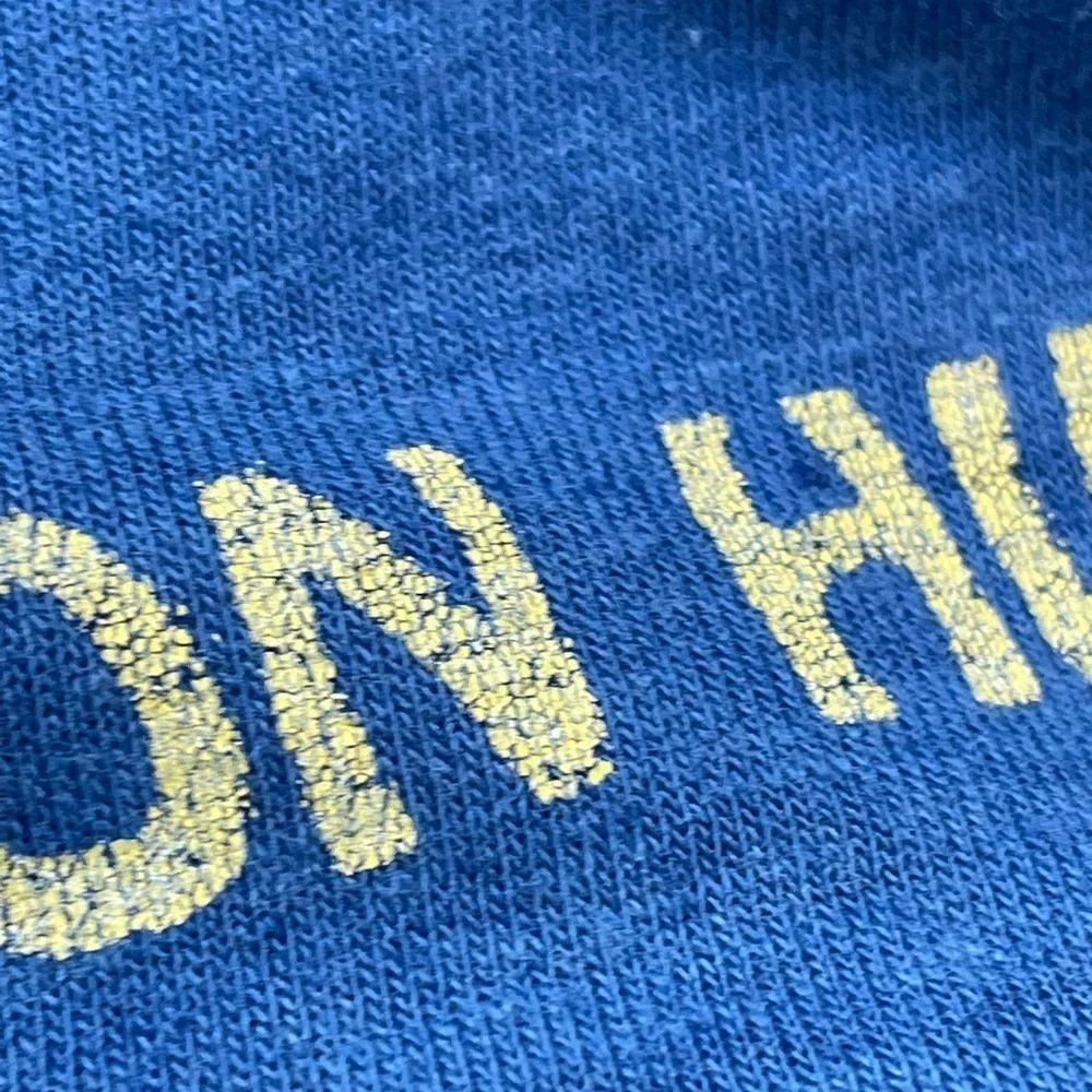 Vintage 1980s Clarendon Hills Sea Lion Blue Graphic 80s Tee Top Shirt